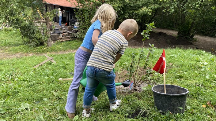 1 kr. pr. bakke kylling til Plant et Træ